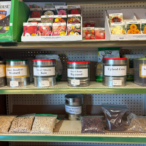 Seed packets and metal tins labeled with various herbs and plants, like mustard and kale, neatly arranged on store shelves; bright and organized display.