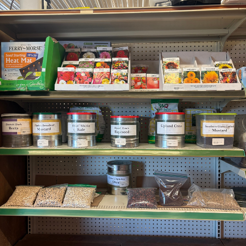 Seed display on a store shelf with colorful seed packets and labeled metal tins for various plants like beet, kale, and mustard. Cozy, organized vibe.
