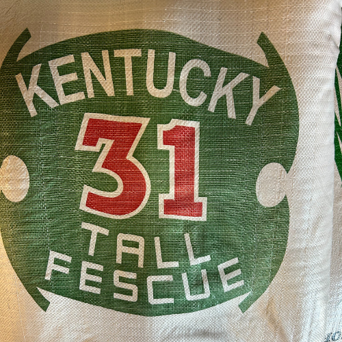 White bag displaying bold text 