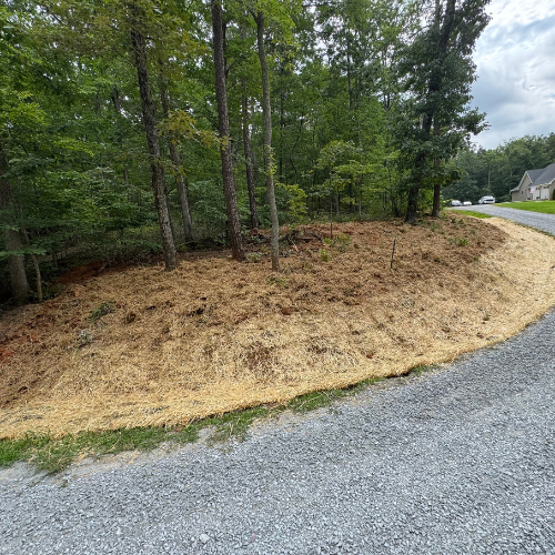 Gravel road curves alongside a wooded area. The forest edge has a layer of straw and soil, with nearby trees. Suburban houses visible in the background.