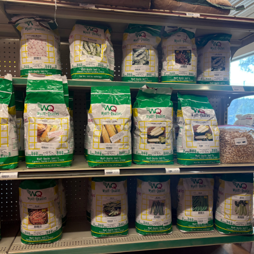 Bags of various seeds on metal shelves in a store. Each bag features images of the seeds with green and white packaging. Bright lighting from outside.