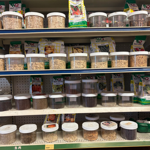 A store shelf stacked with clear plastic containers of various seeds and grains, alongside seed packets. The setting is organized and colorful.