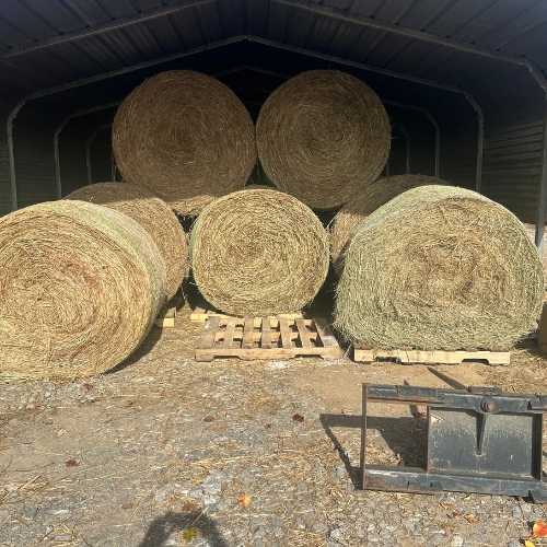 Round Bales Hay