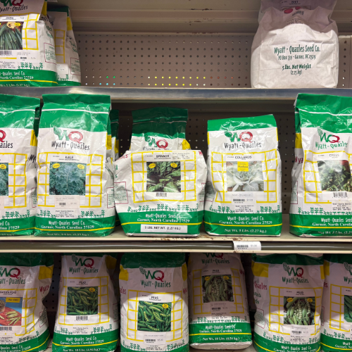 Shelves stocked with green and white packs of Wyatt-Quarles garden seeds, including kale, spinach, and beans. The setting conveys a gardening theme.