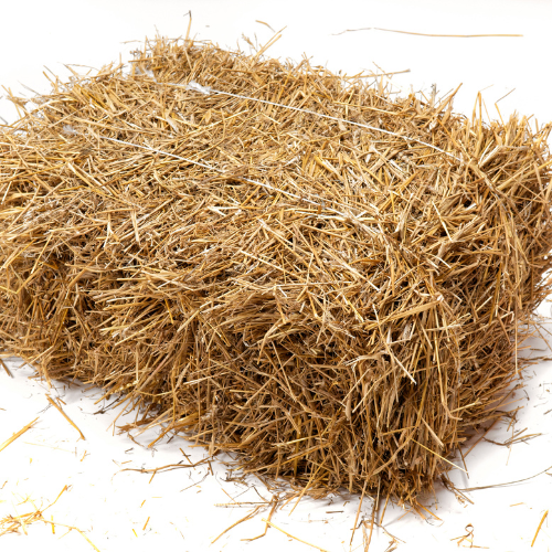 Timothy Orchard Bale
