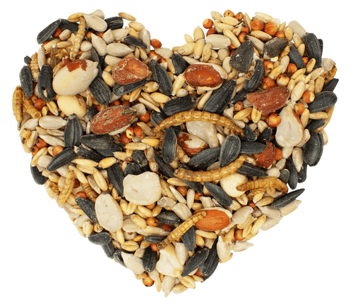 Love My Girls Flax & Worms