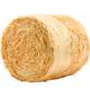Round Bale of Hay