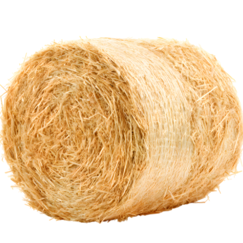 Round Bale of Hay