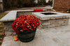 Chaney Enterprises Grotto Hardscape Fire Pit Square