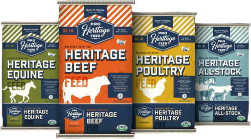 CPC Game Bird Starter