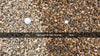 Shenandoah Stone Natural 78 Stone Pea