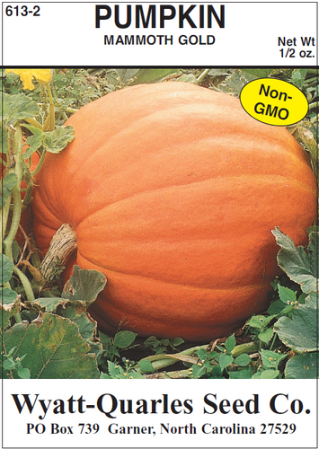 Wyatt-Quarles Seed Company Mammoth Gold