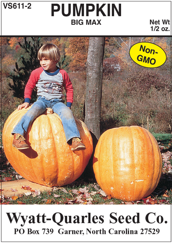 Wyatt-Quarles Seed Company Big Max