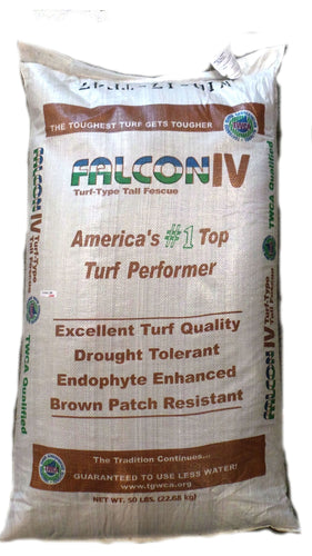 Seed Ranch Falcon IV Turf Type Tall Fescue Grass Seeds