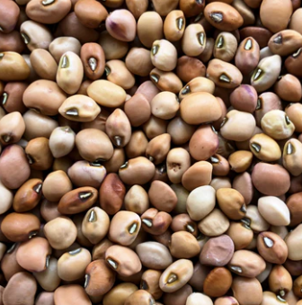 Wyatt-Quarles Seed Company Mississippi Silver