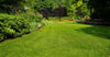 Greener Valley Supply LLC  Grass Landscaper’s Choice Mix