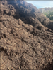 Brown Shredded Mulch - Uploaded Image