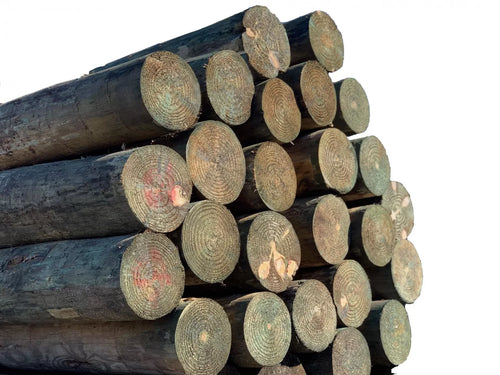 Pasture Management Treated 4-5 X 8' Post