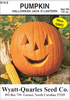 Wyatt-Quarles Seed Company 1/2 Oz. Pumpkin - Halloween/Jack O'Lt