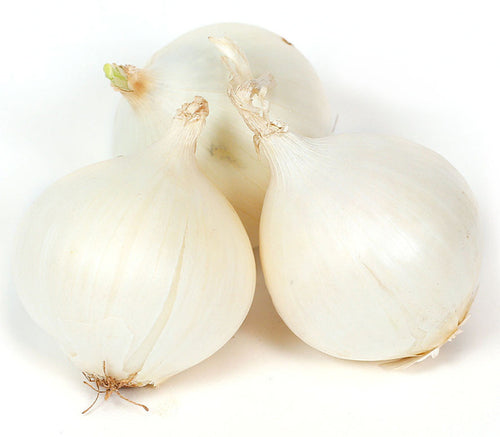ONION - WHITE 1lbs - Uploaded Image